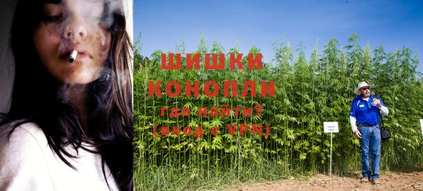 первитин Инсар
