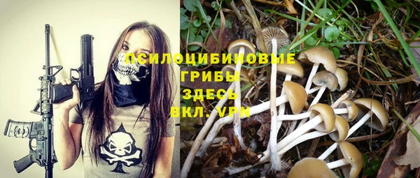 первитин Инсар
