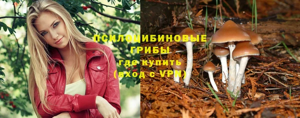 первитин Инсар