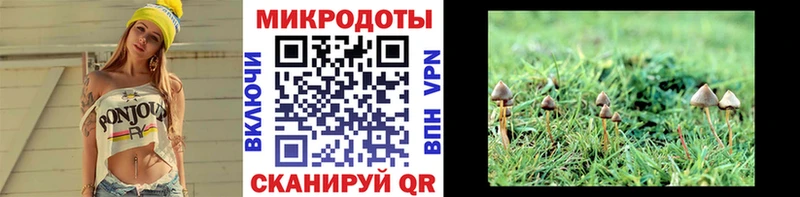 Псилоцибиновые грибы Psilocybe  Купить  Ейск 